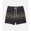 Pánské plavky Salty Crew Crew Stripe Boardshort 19"