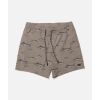 Pánské plavky Salty Crew Crew E-Waist 17"